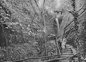 Shanklin Chine, vers 1896