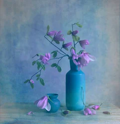 Nature morte au magnolia bleu
