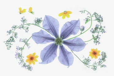 Composition florale fraîche