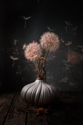 Nature morte éthérée au pissenlit