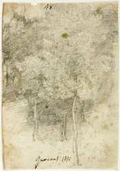 Bosquet d