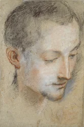 Étude de la tête d
