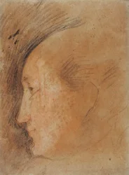 Tête de femme de profil à gauche