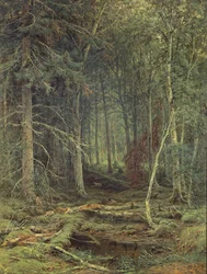 Marais dans la forêt, automne, 1872