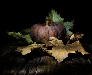 Citrouille « Dark Autumn »