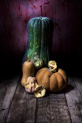 Nature morte « Récolte sombre »