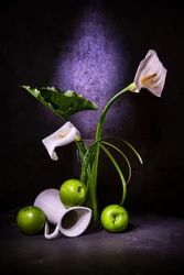 Élégants lis calla et pommes vertes