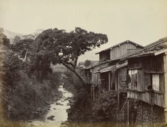 Ville natale de Nagasaki