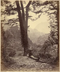 Vue du col de Hakone