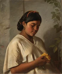 Femme indienne avec souci, 1876