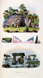 Botanical and zoological illustration by F. E. Guerin. From Dictionnaire pittoresque d