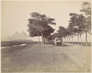 Le Caire. Allée des Pyramides
