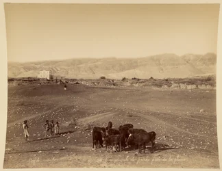 Vue générale de Jéricho prise de la plaine