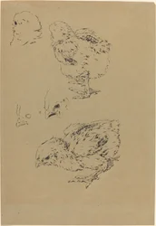 Poussins