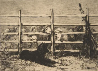 Moutons parqués, 1856