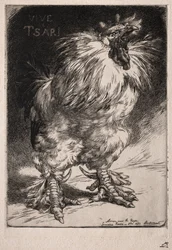 Le Coq français, 1893.