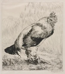 Le vieux coq, 1882.