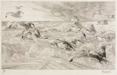 Les mouettes, vers 1880