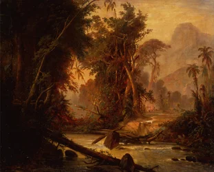 Forêt tropicale au Venezuela