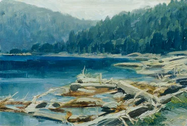 Forêt de Bohême (de la série «16 vues de paysages tchèques 