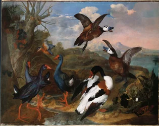 Canards Tadorne et autres Volatiles dans un Paysage, 1720