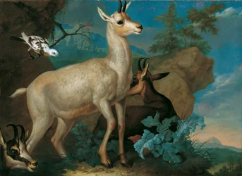Trois chèvres de montagne et un merle