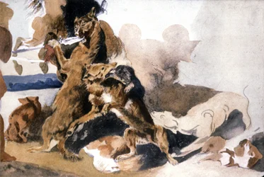 Loups