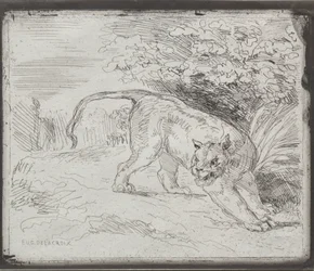 Un tigre piégé, 1854