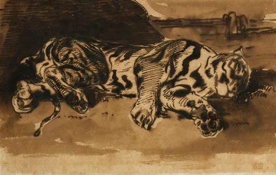 Tigre couché, 1858