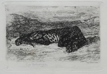 Tigre couché dans le désert