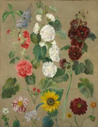 Sans titre (Fleurs)
