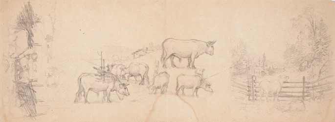Diverses esquisses de vaches et de taureaux