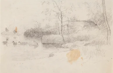 Paysage avec canards