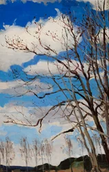 Arbres sur fond de ciel