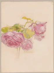Roses