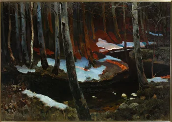 Ruchaj des bois