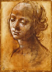 Figure féminine, par Filippino Lippi