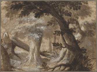 Intérieur de forêt