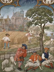 Fol.7v Le mois de juillet : Récolte et tonte des moutons, du Breviarium Grimani, vers 1515