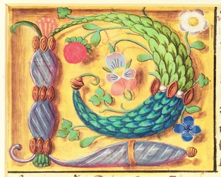 Ms 134 Lettre illuminée `P décorée de fleurs, d