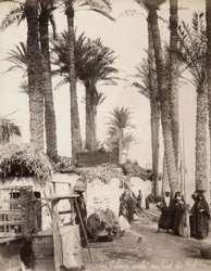 Village sur les rives du Nil