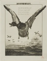 Le canard