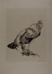 La vieille bite