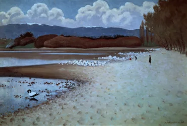 Plage près de Vidy