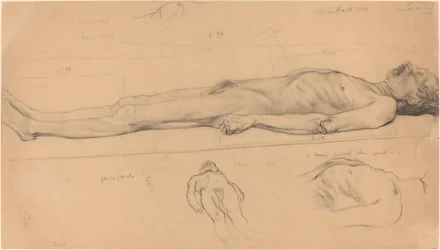 Le cadavre (Étude pour Le Christ mort)