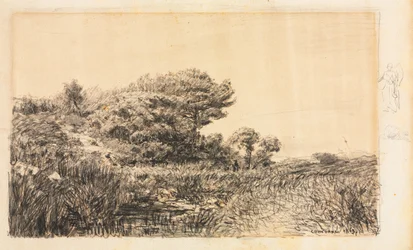Bord de marais à Couronne
