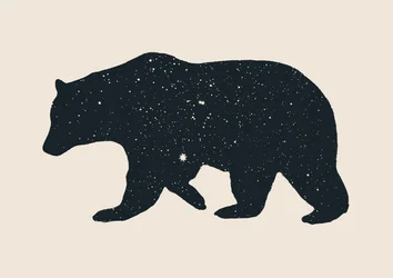 Ours