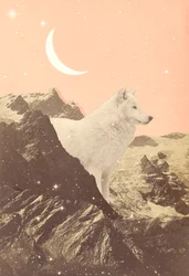 Loup géant dans les montagnes roses, 2021 (collage)