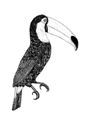 Toco - noir et blanc