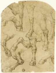 Esquisses de jambes de chevaux (ou dromadaires) (recto) ; colonnes (verso)